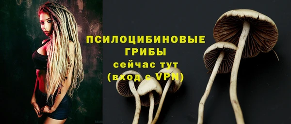 дмт Абаза