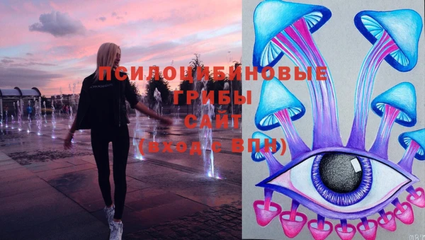 дмт Абаза