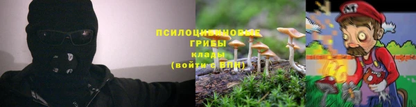 дмт Абаза