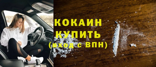дмт Абаза