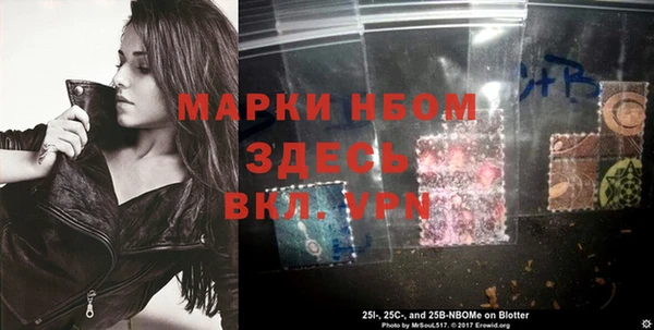 дмт Абаза