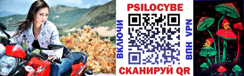 Псилоцибиновые грибы мицелий где можно купить наркотик Холм